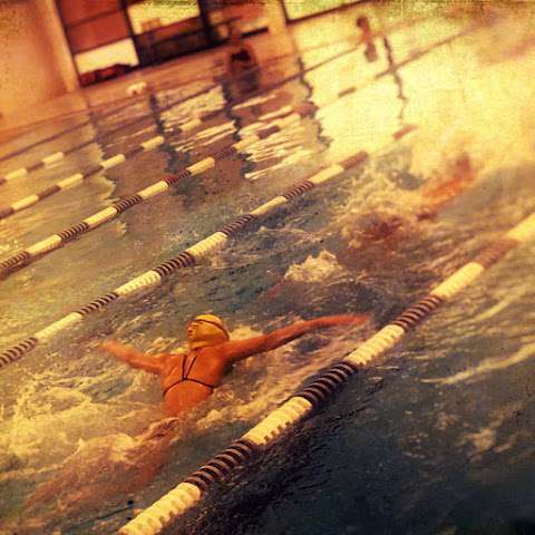 Priscilla Weston Swimming